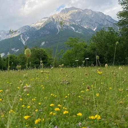 فندق Perla E Alpeve ثيث